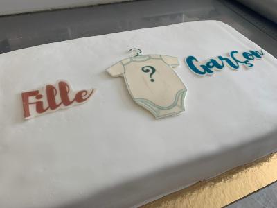 Entremet Baby Shower ou Gender Reveal, crème rose ou bleu -  Déco spéciale 10 à 20 personnes