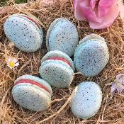 *8 PLACES DISPOS* Atelier adulte / Macarons de Pâques - Jeudi 24 avril 2025 - 14h00-16h30
