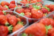 *NOUVEAU* Stage #2 orientation pâtisserie Ado12-18 ans / Brioche / Fraisier / Pizza (Repas incl.)  / Mardi 22 juillet 2025 / 9h00 - 17h00