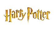*COMPLET* Atelier duo Parent - Enfant 4-13 ans / Cupcakes Harry Potter / Jeudi 4 janvier 2024 /14h30-16h30
