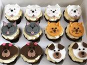 *4 DUOS DISPOS* Atelier duo Parent-Enfant 4-13 ans / Cupcakes Animaux rigolos / Mercredi 14 mai 2025 - 14h30-16h30